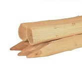 192 robinia 68981
