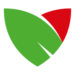 Travertino