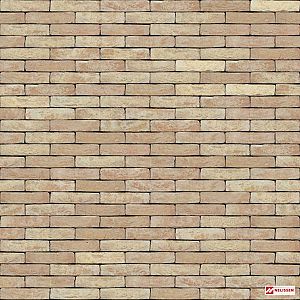 Pastel - Anderlecht
