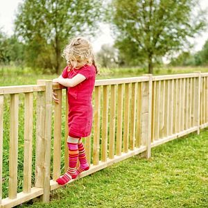 174 decoratieve elementen  31335