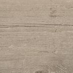Carpenter