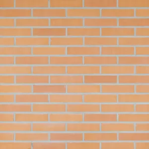 Leer Glad