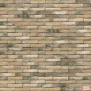 Steenstrip Luce