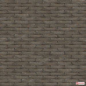 Steenstrip Grafit