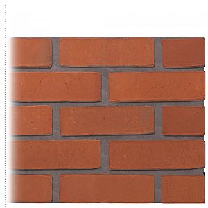 Oranje WS