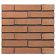 Worm Oranje WS VB WF