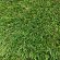 Kunstgras Select 25 - 30mm