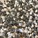 BigBag Pandasplit 8-12mm - 1500kg