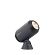 LP Castor 4 -12V