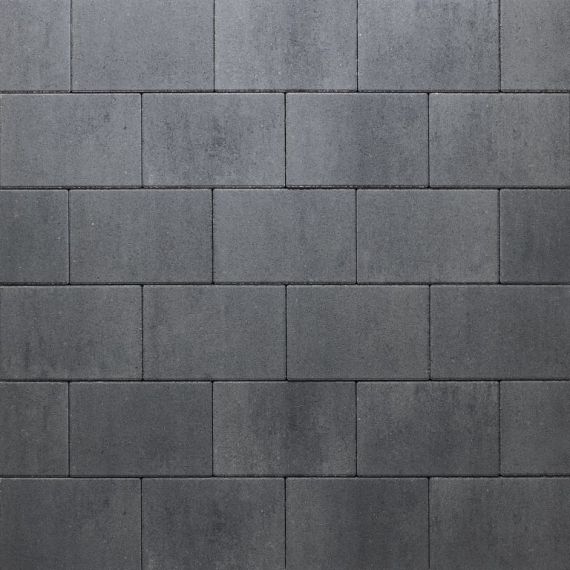 Premiton Linea