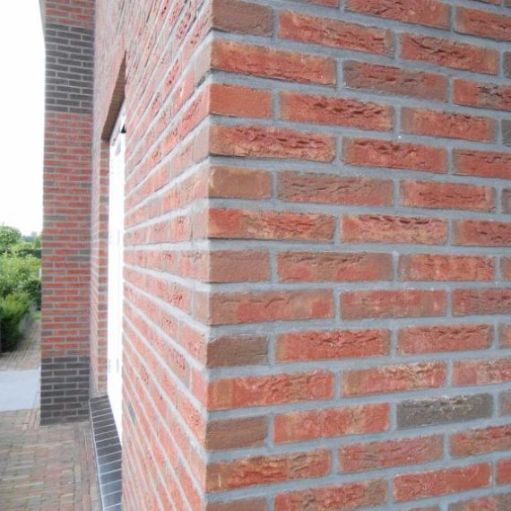 WV HV Baccara - Exclusief roodpaars