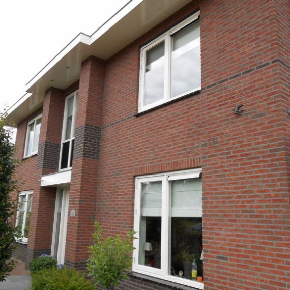 WV HV Baccara - Exclusief roodpaars