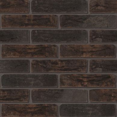 Pacaya