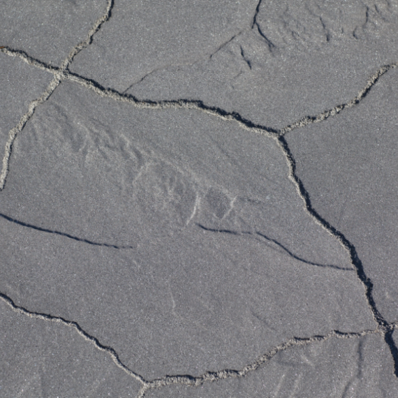 GeoArdesia Alivo