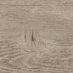 Carpenter