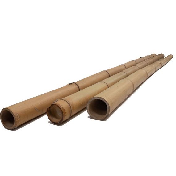 Bamboepaal 7-8 cm x 270 cm