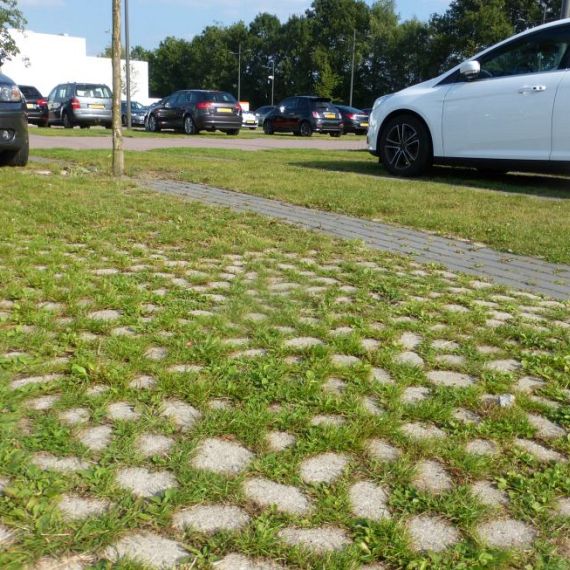 Keigrassteen 45x45x10 cm grijs - 6 stuks per laag