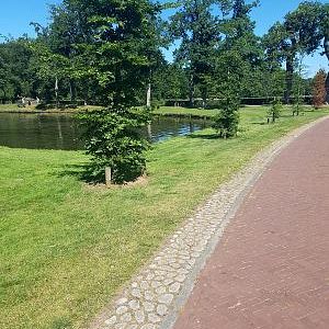 Keigrassteen 45x45x10 cm grijs - 6 stuks per laag