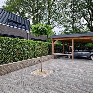 Patio DF XL 28x7x8 cm Sidney ( verpakt op ww pallet)