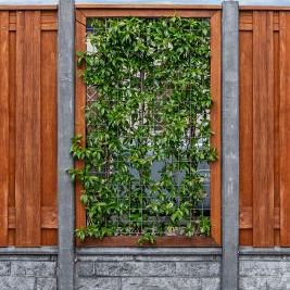 Hardhout betonijzertrellis 90 x 180 cm, met maas 7,5 x 7,5 cm, in raamwerk 4,4 x 6,8 cm