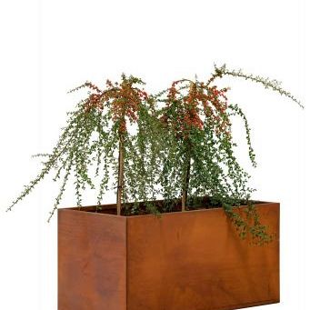 Bloembak Cortenstaal 50 x 90 x 50 cm