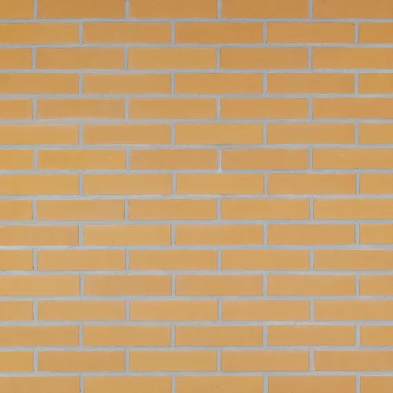 Geel Glad