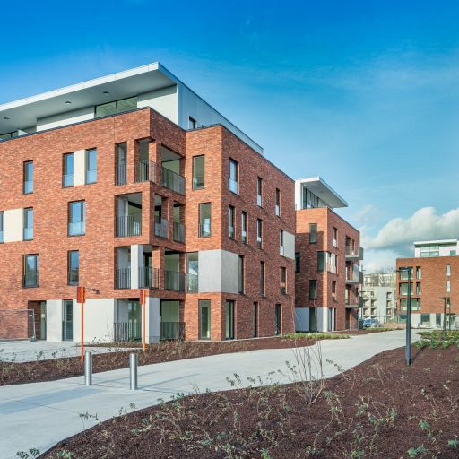 Passion | Falo WV 50 Steenstrip