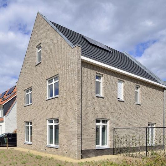 WF HV Osorno - Grijs gesinterd