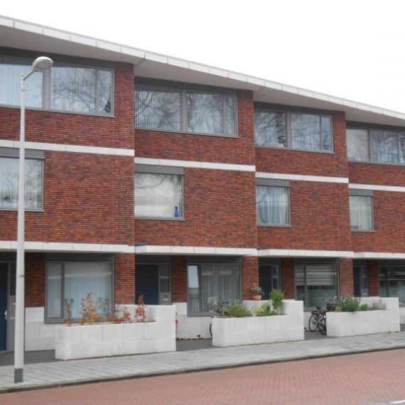 WF HV Telica - Exclusief Rood