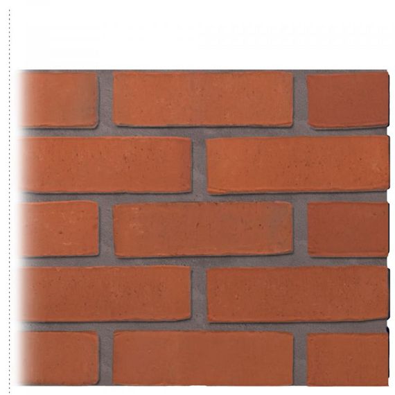 Oranje WS