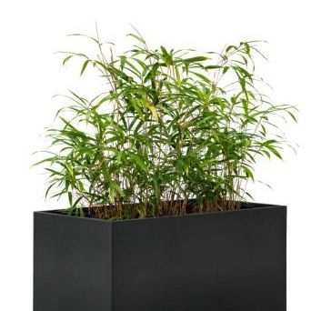 Bloembak, zwart gepoedercoat 50 x 90 x 50 cm