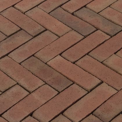 WF80 Lumino strak Rood-Paars gen