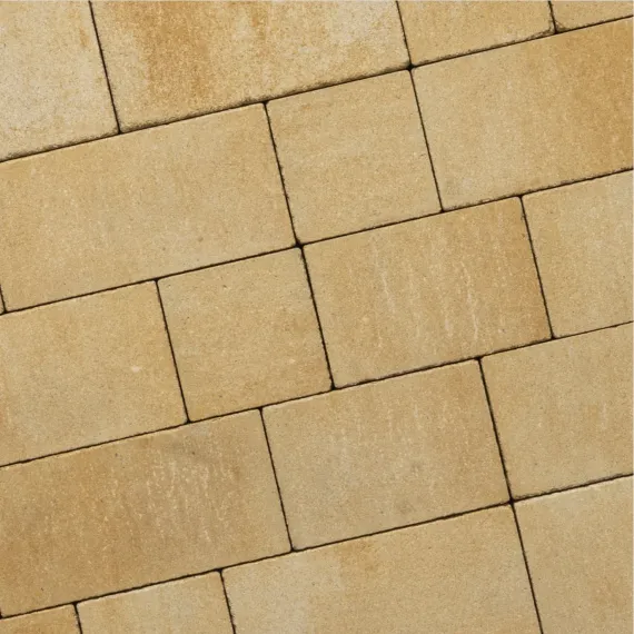 Recto Rustiek ZF Klein Wildverband 6cm Mont Blanc