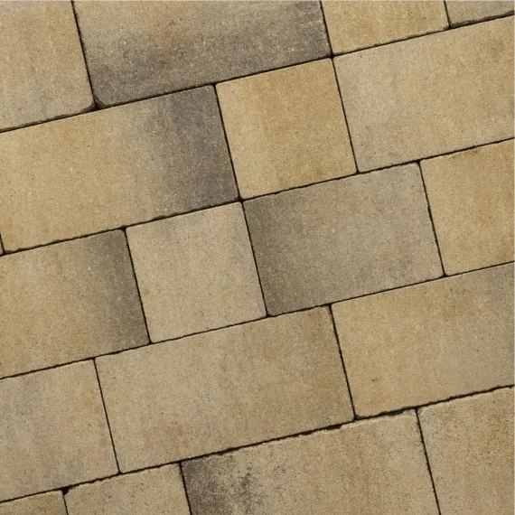 Recto Rustiek ZF Klein Wildverband 6cm Sierra Madre