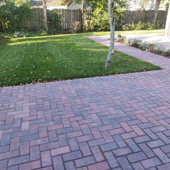 BSS 6cm Redlands