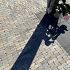 Patio terrastegel 60x60x4 cm Black ( verpakt op ww pallet)