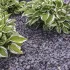 Big/Bag Canadian Slate 30-60mm violet - 1000kg