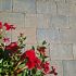 Trommel 20x30x6cm Beach