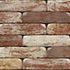 Classico | Oud-Haspengouw MOD 50