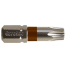 Bit torx 15 / bruin