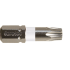 Bit torx 10 / wit
